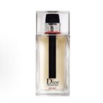 Dior: rebellious and sporty men