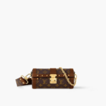 Louis Vuitton Papillon Trunk